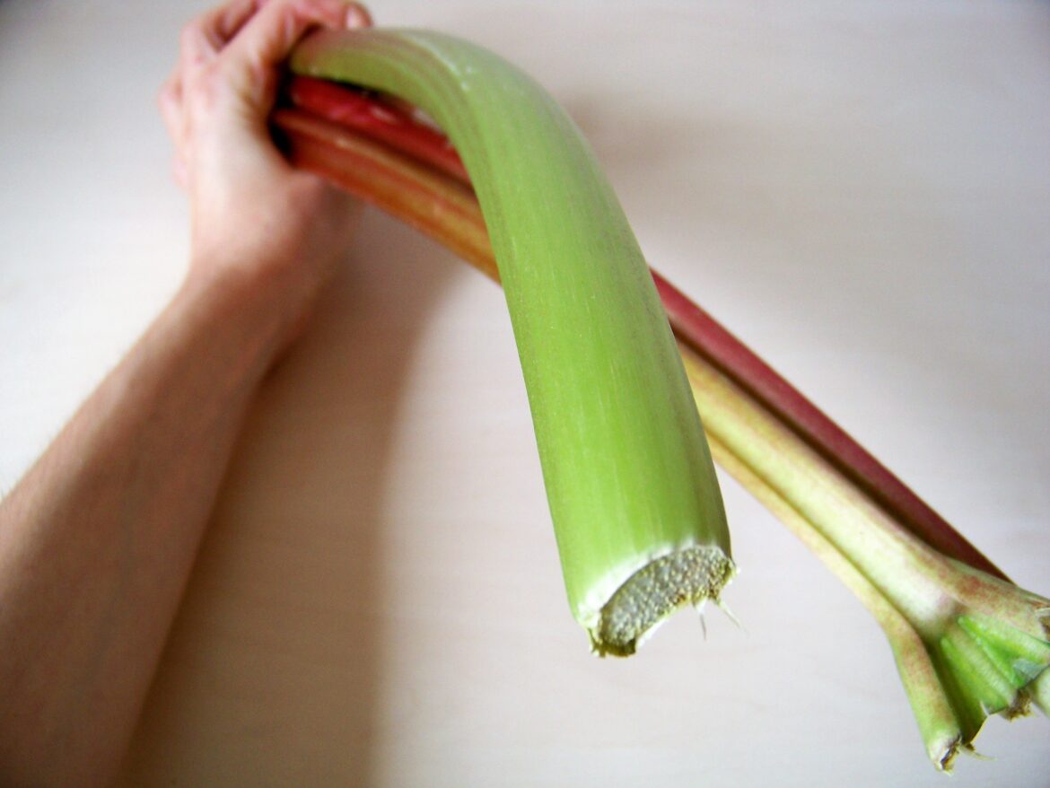 Fakten über Rhabarber