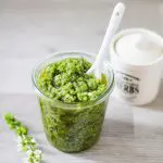 Basilikum-Cashew-Pesto Basilikum-Cashew-Pesto Vegan mit Kräuterdose