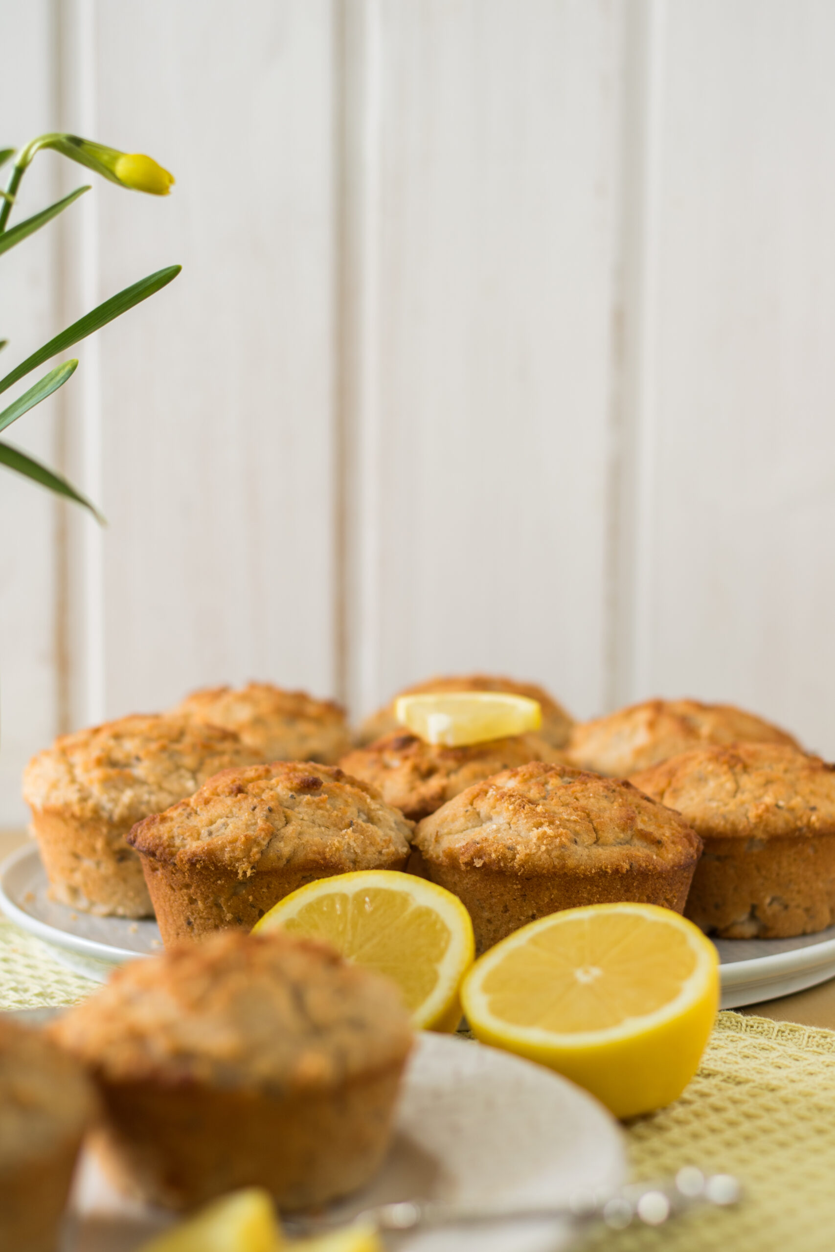 Gesunde glutenfreie und vegane Zitronen-Kokos-Muffins - Aha Foods ...