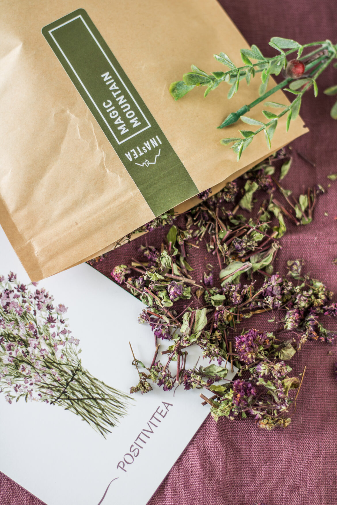 albanischer Bergtee Roter Oregano